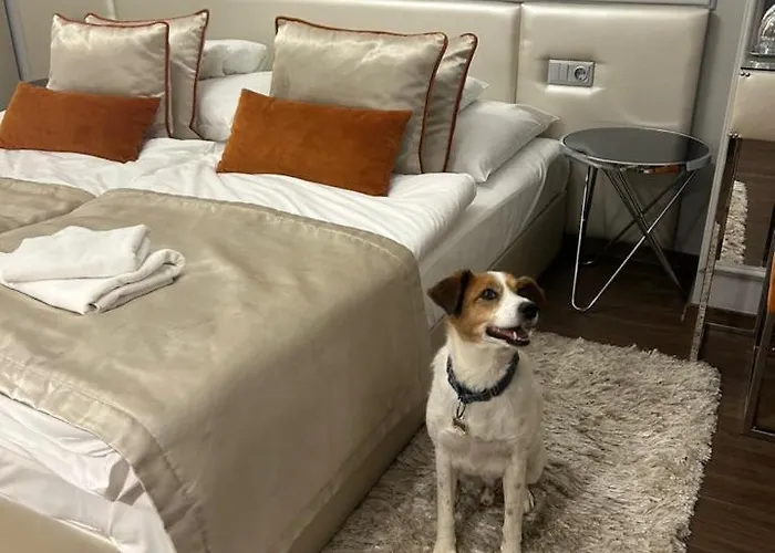 Szálloda Boutique Center