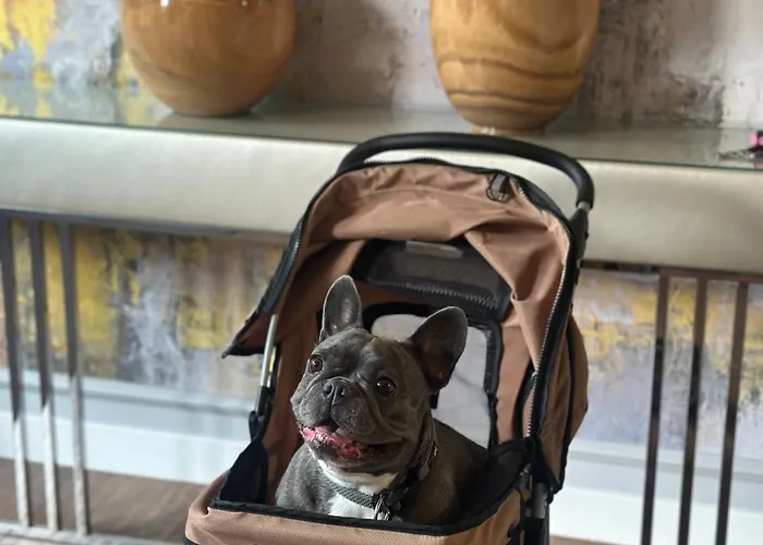 Boutique Center Szálloda 2*